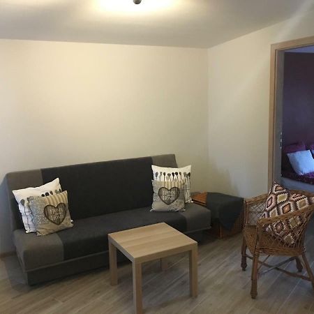 "Na Wesolej" Apartment Тарновске Гори Екстериор снимка